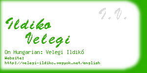 ildiko velegi business card