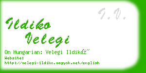 ildiko velegi business card